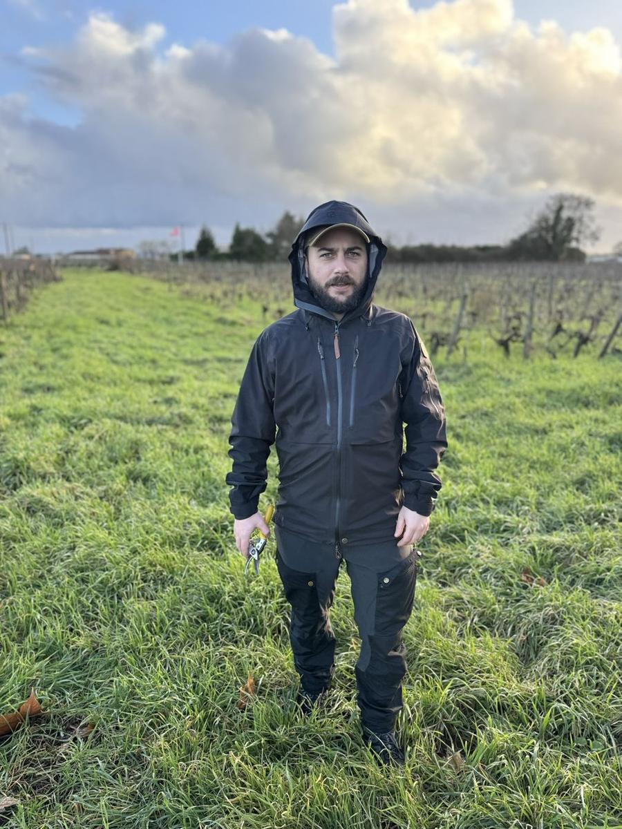 Joris en veste de pluie, sécateur à la main, dans un rang enherbé sous un ciel chargé